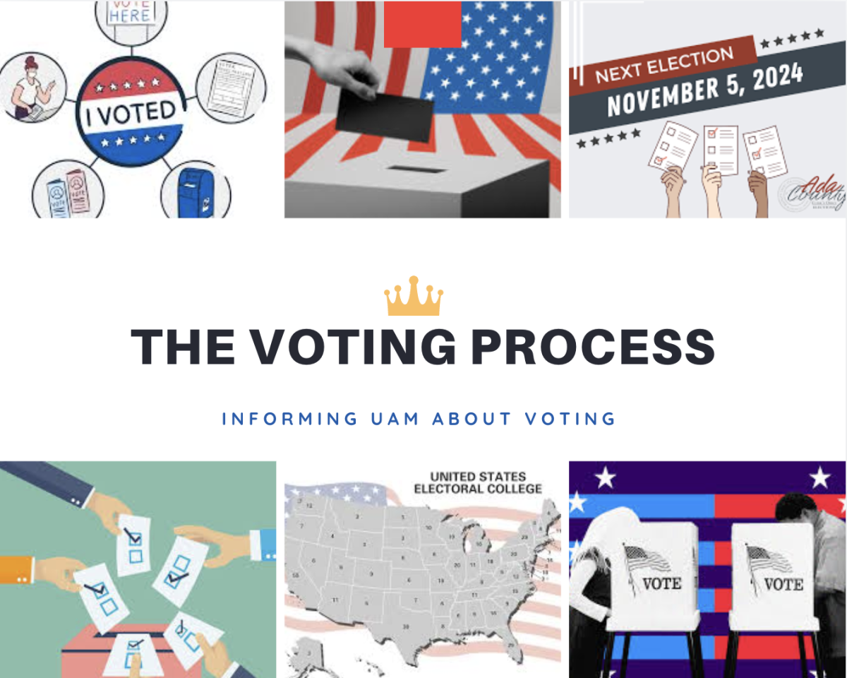 The Voting Process